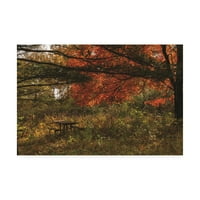 Заштитена марка ликовна уметност „Прекрасна точка за есенски пикник„ платно уметност од Курт Шафер Фотографии
