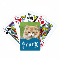 Жолти Ленти Мачка Зјапа Миленичиња Животински Резултат Покер Играње Карти Инди Игра