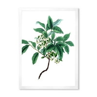 Дизајн на „Антички зелени лисја растенија IV“ Традиционално врамен уметнички принт